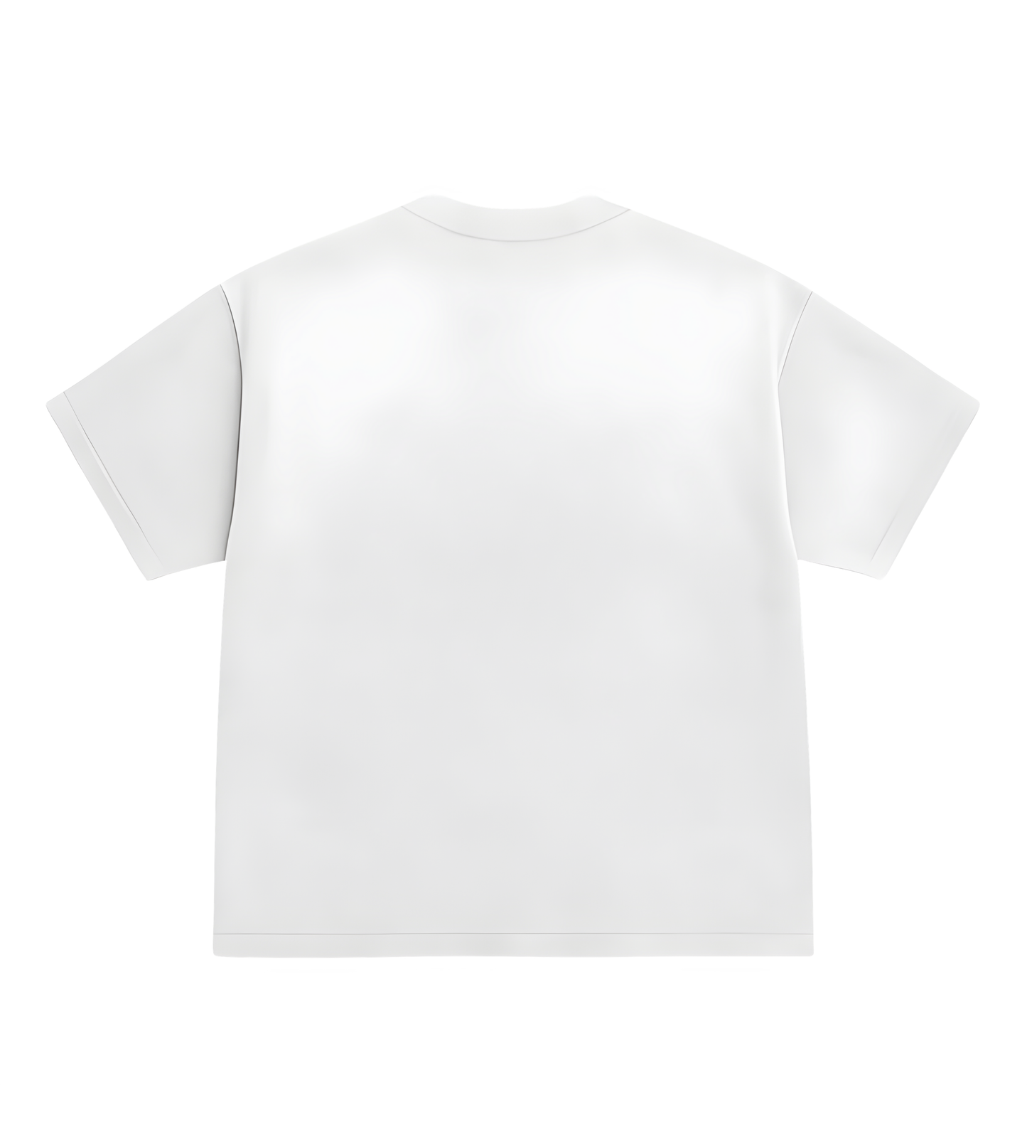 INSIDE T-SHIRT